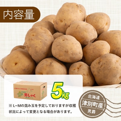 R8年産先行受付 じゃがいも 5kg 特別栽培(男爵) | 北海道津別町