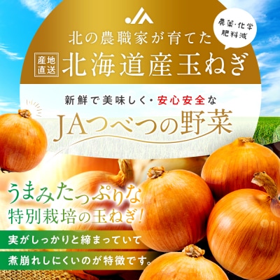 【先行受付】R8年産 特別栽培玉ねぎ 5kg | 北海道津別町
