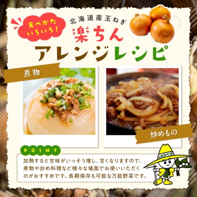 【先行受付】R8年産 特別栽培玉ねぎ 5kg | 北海道津別町