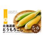 【R7年早期受付】8月の旬 トウモロコシ 5〜6本 ピンクの八百屋〜ナツやさい〜