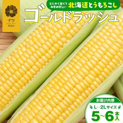 【先行受付】R8年産 トウモロコシ(ゴールドラッシュ) 5〜6本 | 北海道津別町