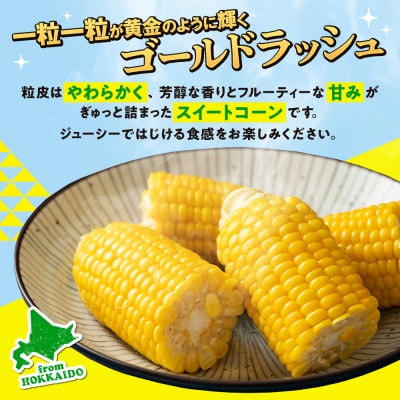 【先行受付】R8年産 トウモロコシ(ゴールドラッシュ) 5〜6本 | 北海道津別町