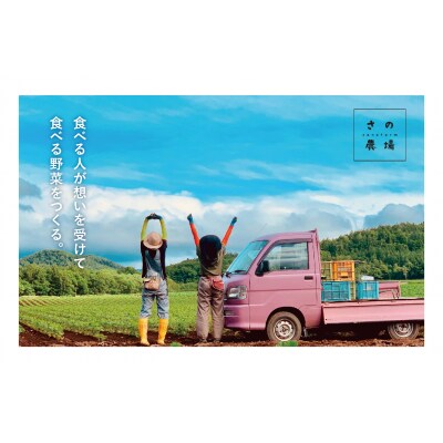 【R7年早期受付】8月の旬 トウモロコシ 5〜6本 ピンクの八百屋〜ナツやさい〜
