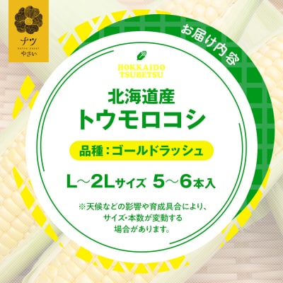 【先行受付】R8年産 トウモロコシ(ゴールドラッシュ) 5〜6本 | 北海道津別町