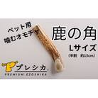 プレシカ　鹿の角　Lサイズ　(15センチ半割り1本)/006-42327-a01Z
