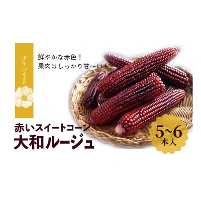 【R7年早期受付】9月の旬 日本初赤トウモロコシ「大和ルージュ」 5本 ピンクの八百屋～ナツやさい～
