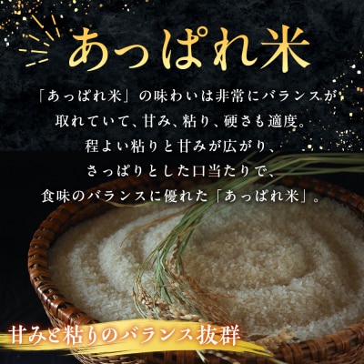 【令和8年産・先行受付】北海道産 津別町あっぱれ米(精米) 5kg