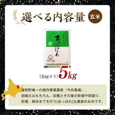 【令和8年産・先行受付】北海道産 津別町あっぱれ米(玄米) 5kg