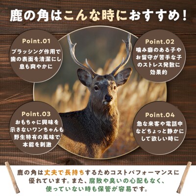プレシカ 鹿の角 Lサイズ(15センチ半割り1本) 3袋 | 北海道 津別町