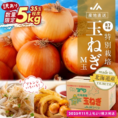 【訳あり】数量限定 特別栽培玉ねぎ M玉 5kg | 北海道津別町