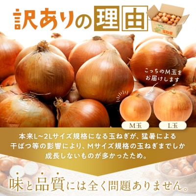 【訳あり】数量限定 特別栽培玉ねぎ M玉 5kg | 北海道津別町