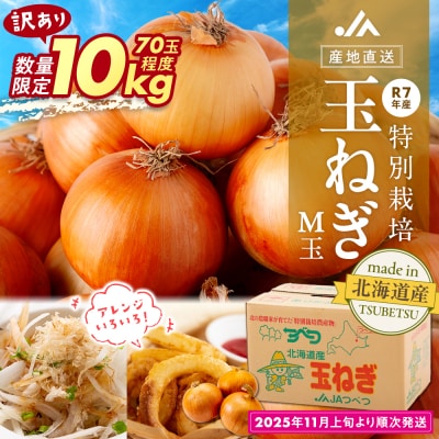 【訳あり】数量限定 特別栽培玉ねぎ M玉 10kg | 北海道津別町
