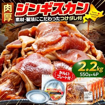 WMXJ 2.2kg(_tEA~t) (L)HiX | kCÕʒ
