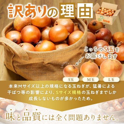 【訳あり】玉ねぎ S玉 5kg | 北海道津別町
