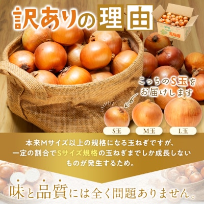 【先行受付】訳あり R8年産 玉ねぎ S玉 5kg | 北海道津別町