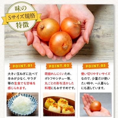 【訳あり】玉ねぎ S玉 5kg | 北海道津別町