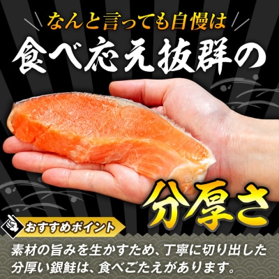 塩銀鮭(甘口) 900g(10~12切れ) | 北海道津別町