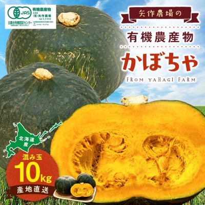 【先行受付】R8年産 有機栽培かぼちゃ 10kg | 北海道津別町