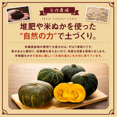 【先行受付】R8年産 有機栽培かぼちゃ 10kg | 北海道津別町