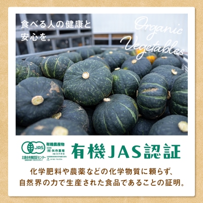 【先行受付】R8年産 有機栽培かぼちゃ 10kg | 北海道津別町