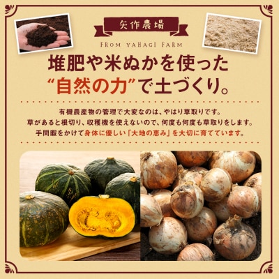 【先行受付】R8年産 有機栽培玉ねぎ・かぼちゃセット 合計20kg | 北海道津別町