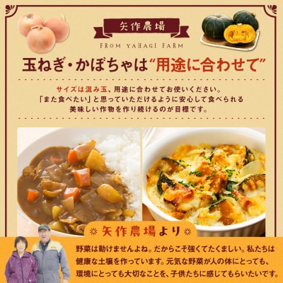 【先行受付】R8年産 有機栽培玉ねぎ・かぼちゃセット 合計20kg | 北海道津別町