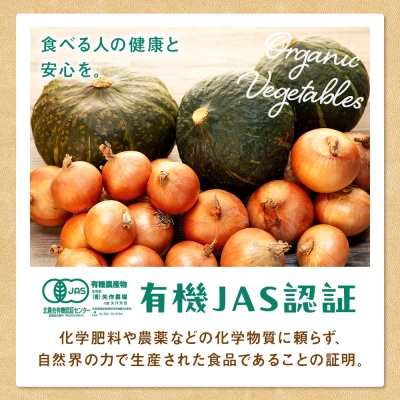 【先行受付】R8年産 有機栽培玉ねぎ・かぼちゃセット 合計20kg | 北海道津別町