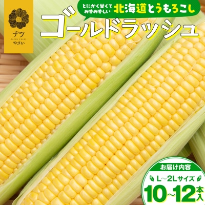 【先行受付】R8年産 トウモロコシ(ゴールドラッシュ) 10〜12本 | 北海道津別町