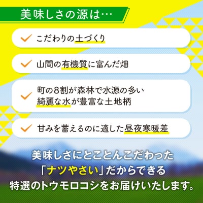 【先行受付】R8年産 トウモロコシ(ゴールドラッシュ) 10〜12本 | 北海道津別町