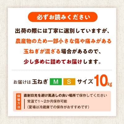 R8年産 玉ねぎ (M玉・S玉混合) 10kg オホーツクコロポックル | 北海道津別町