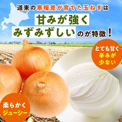 R8年産 玉ねぎ (L玉・M玉混合) 10kg オホーツクコロポックル | 北海道津別町