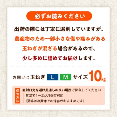 R8年産 玉ねぎ (L玉・M玉混合) 10kg オホーツクコロポックル | 北海道津別町