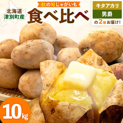 【先行予約】秋の旬 じゃがいも2種食べ比べ 10kg ピンクの八百屋〜ナツやさい〜  | 北海道津別