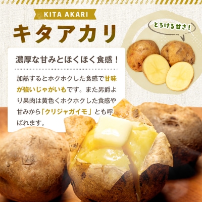 【先行予約】秋の旬 じゃがいも2種食べ比べ 10kg ピンクの八百屋〜ナツやさい〜  | 北海道津別