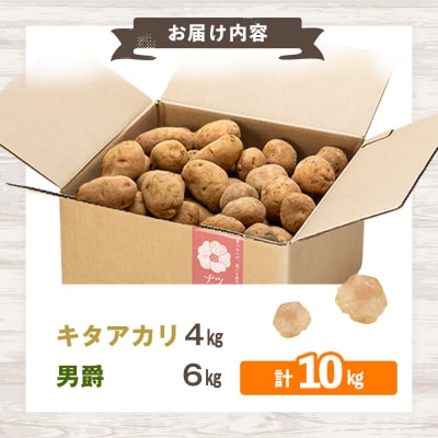 【先行予約】秋の旬 じゃがいも2種食べ比べ 10kg ピンクの八百屋〜ナツやさい〜  | 北海道津別