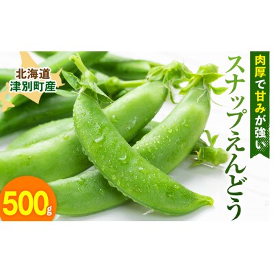 R8年産 スナップえんどう(品種:グルメ) 500g ピンクの八百屋〜ナツやさい〜 | 北海道津別町