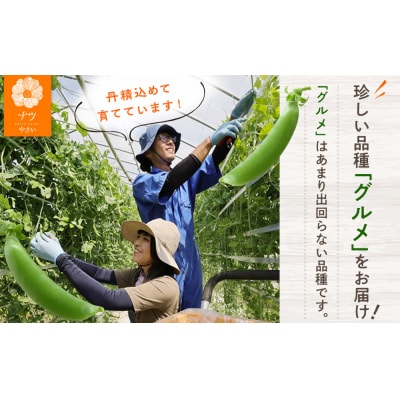 R8年産 スナップえんどう(品種:グルメ) 500g ピンクの八百屋〜ナツやさい〜 | 北海道津別町