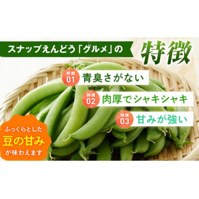 R8年産 スナップえんどう(品種:グルメ) 500g ピンクの八百屋〜ナツやさい〜 | 北海道津別町