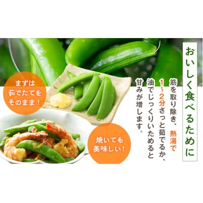 R8年産 スナップえんどう(品種:グルメ) 500g ピンクの八百屋〜ナツやさい〜 | 北海道津別町