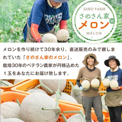 【R8年収穫分】【数量限定】さのさん家のメロン(L玉以上)4玉 湧き水栽培 さの農場|北海道津別町