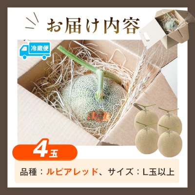 【R8年収穫分】【数量限定】さのさん家のメロン(L玉以上)4玉 湧き水栽培 さの農場|北海道津別町