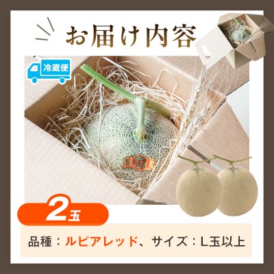 【R8年収穫分】【数量限定】さのさん家のメロン(L玉以上)2玉 湧き水栽培 さの農場| 北海道津別町