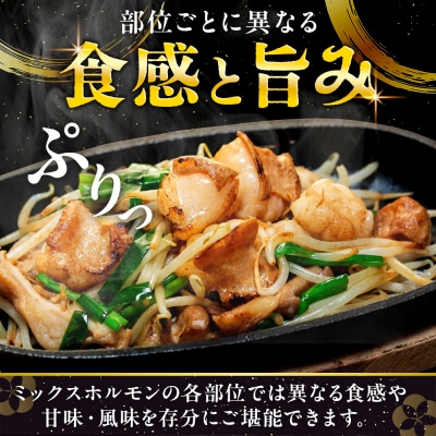 流氷牛 ミックスホルモン 1kg(200g×5袋) 石井牧場 | 北海道津別町