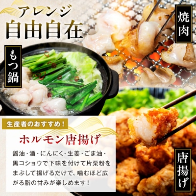 流氷牛 ミックスホルモン 1kg(200g×5袋) 石井牧場 | 北海道津別町