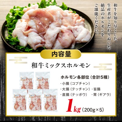 流氷牛 ミックスホルモン 1kg(200g×5袋) 石井牧場 | 北海道津別町