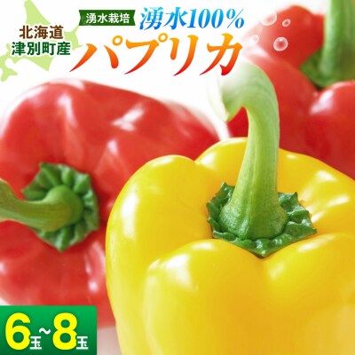【R8年産】湧水栽培 ナツやさいのパプリカ 6玉〜8玉セット ピンクの八百屋〜ナツやさい