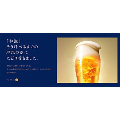 【毎月定期便】サントリー　ザ・プレミアム・モルツギフト350ml×38本入　全2回