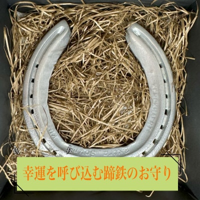 FUCHU　LUCKY　HORSESHOE(蹄鉄)