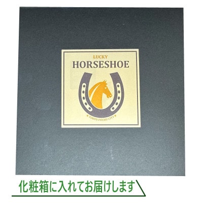 FUCHU　LUCKY　HORSESHOE(蹄鉄)