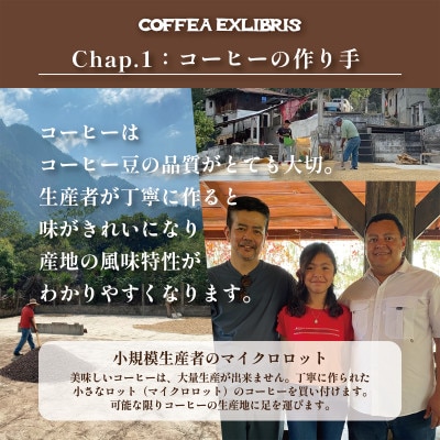 スペシャルティコーヒー 250g×4種セット【コーヒー豆】